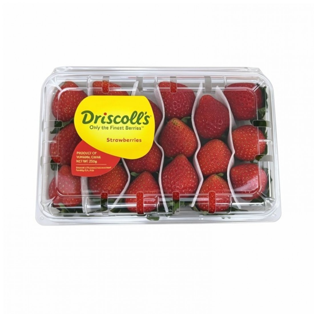 Fruits