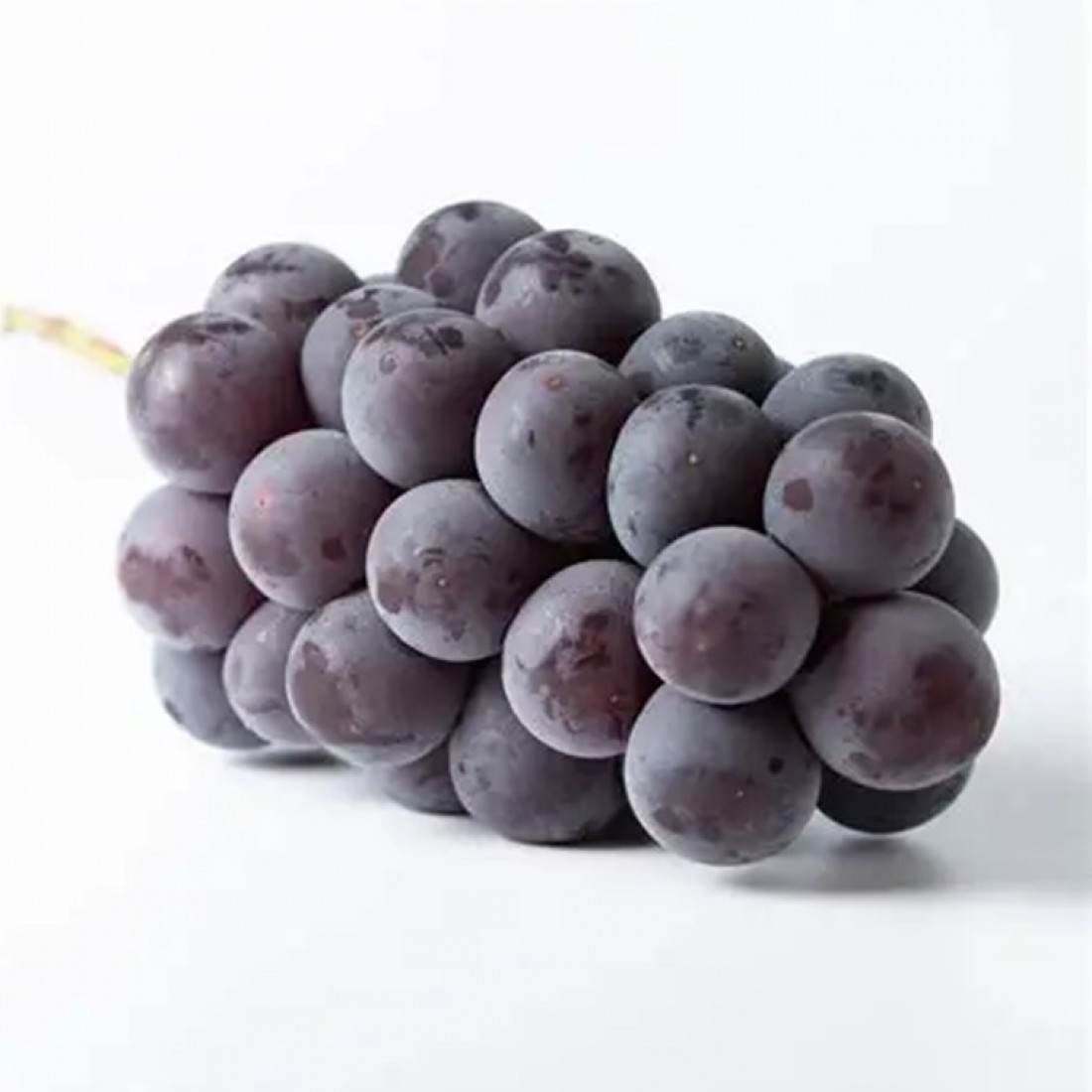 JAPANESE NAGANO PURPLE GRAPE