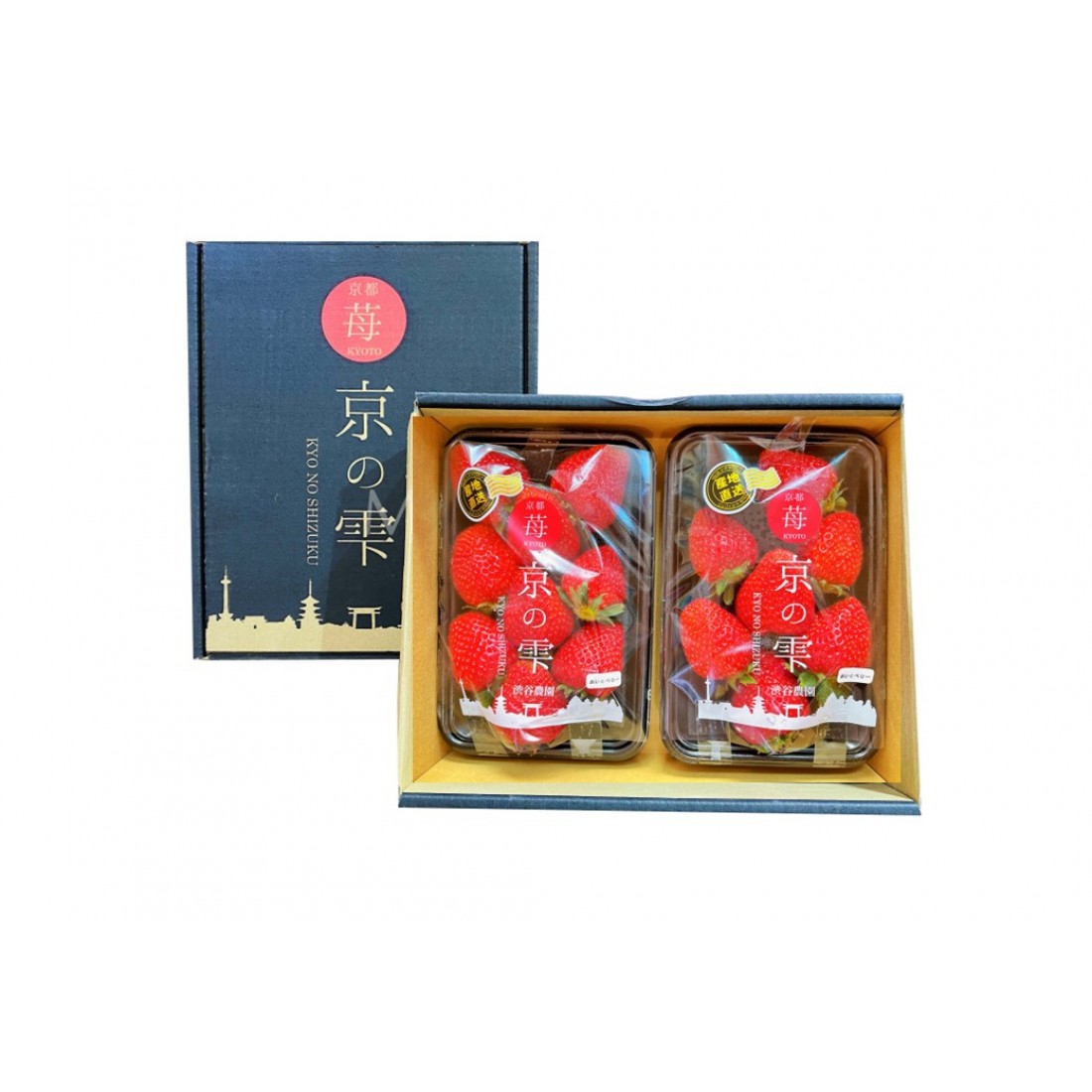 Japanese Premium Fruits