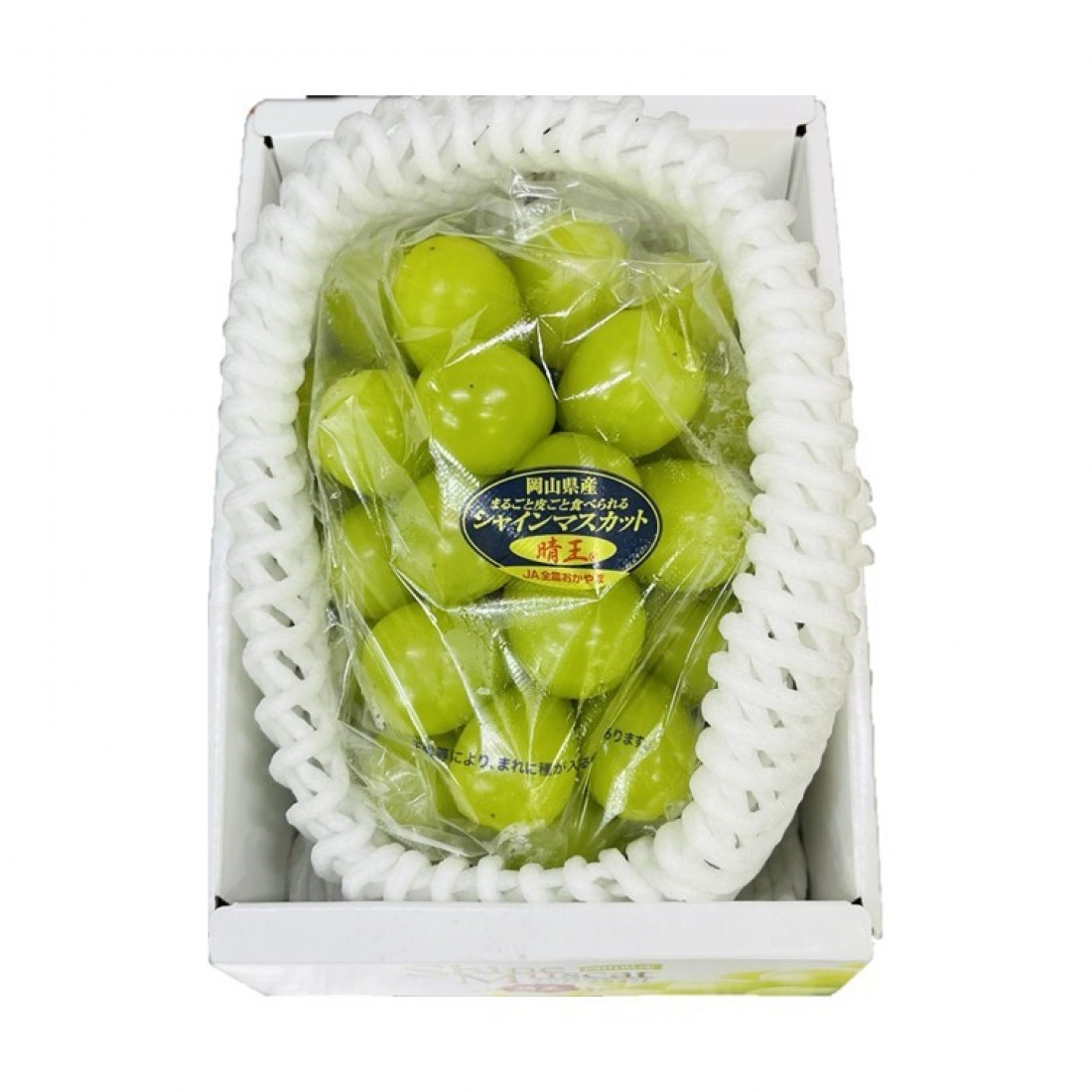 JAPANESE SHINE MUSCAT GRAPE