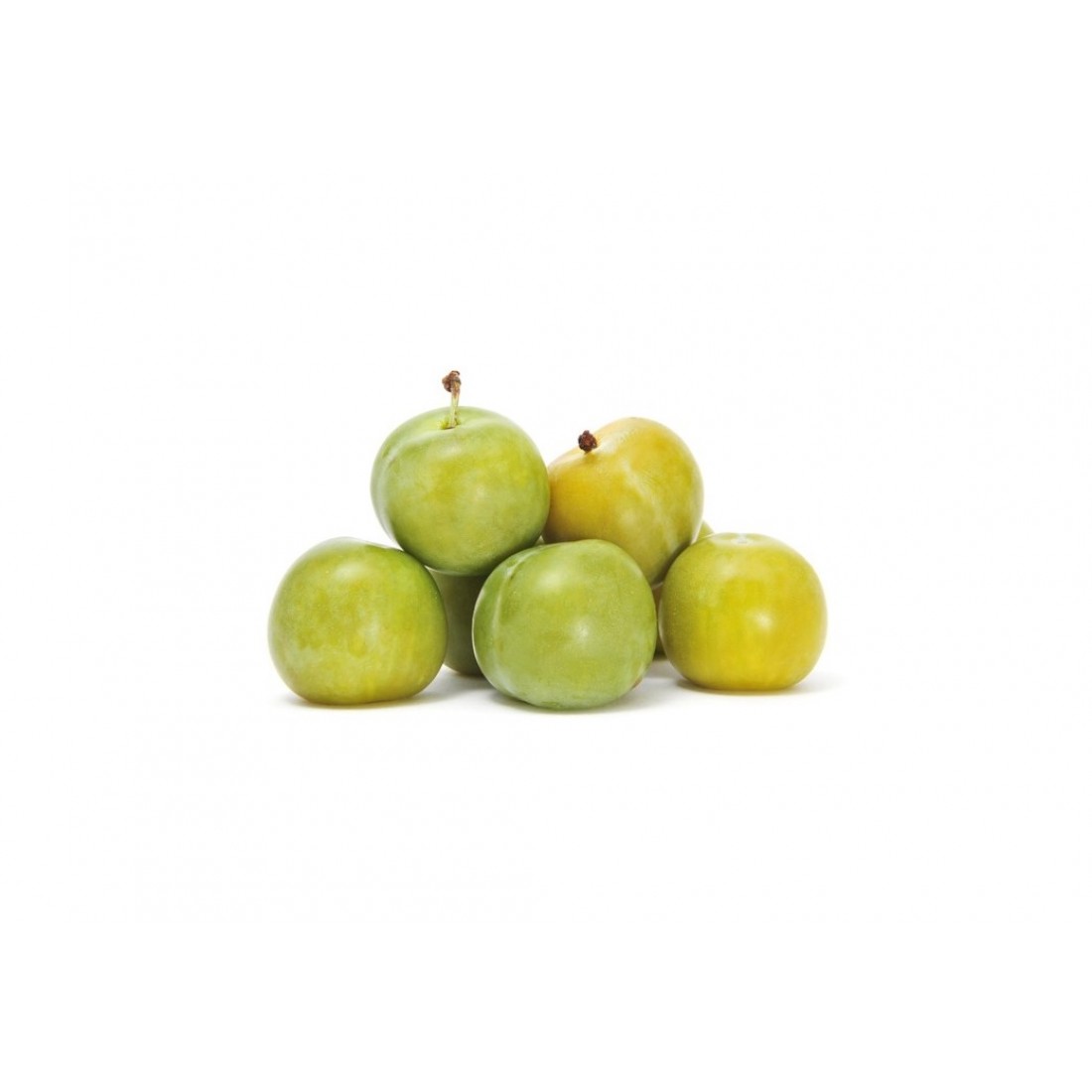 Sweet Crisp Plum