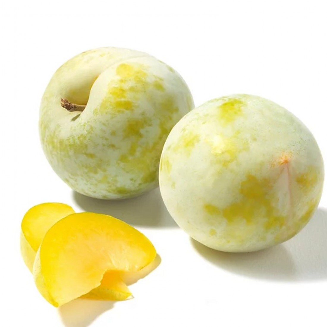AUS GREEN PLUM