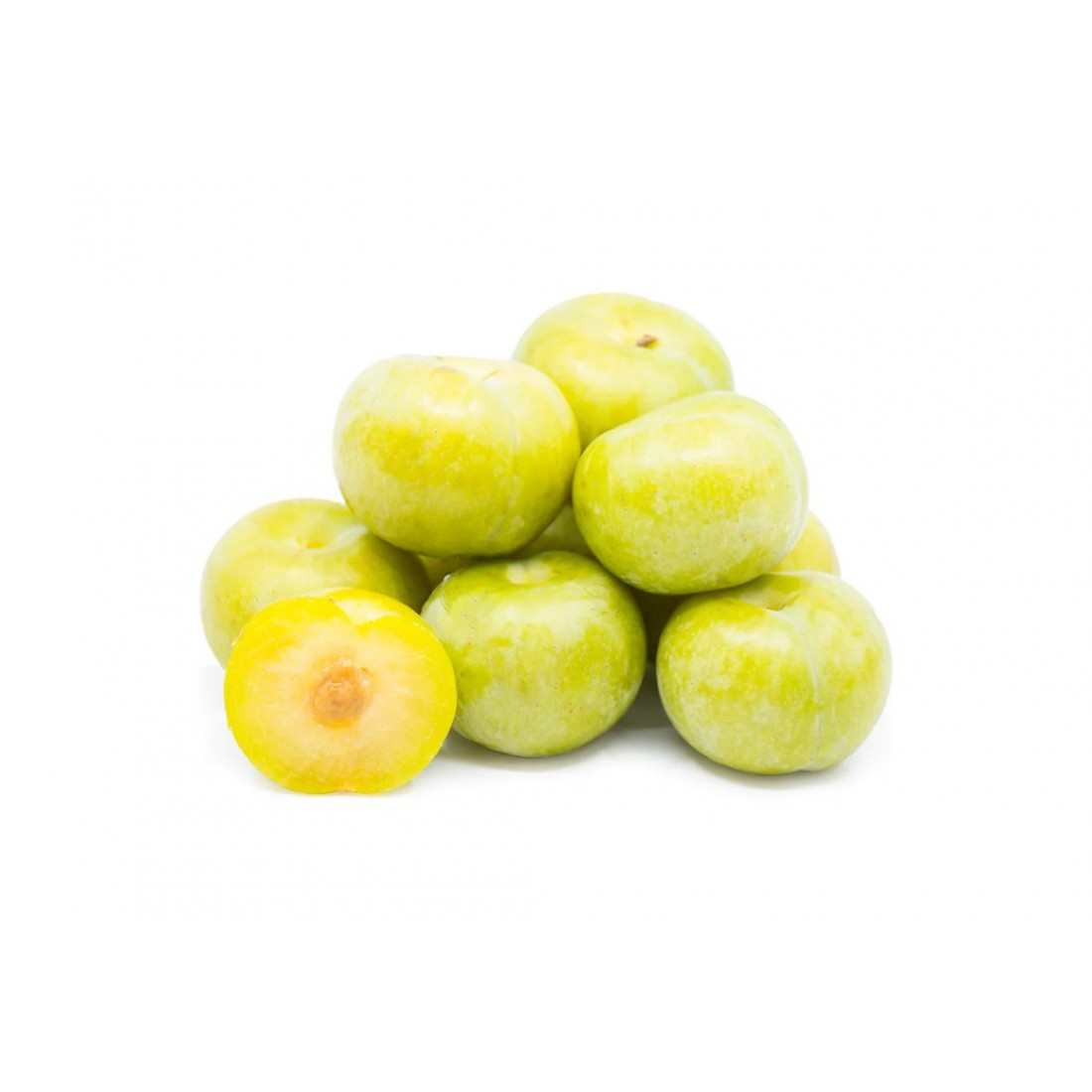 AUS/USA Dinosaur Plum