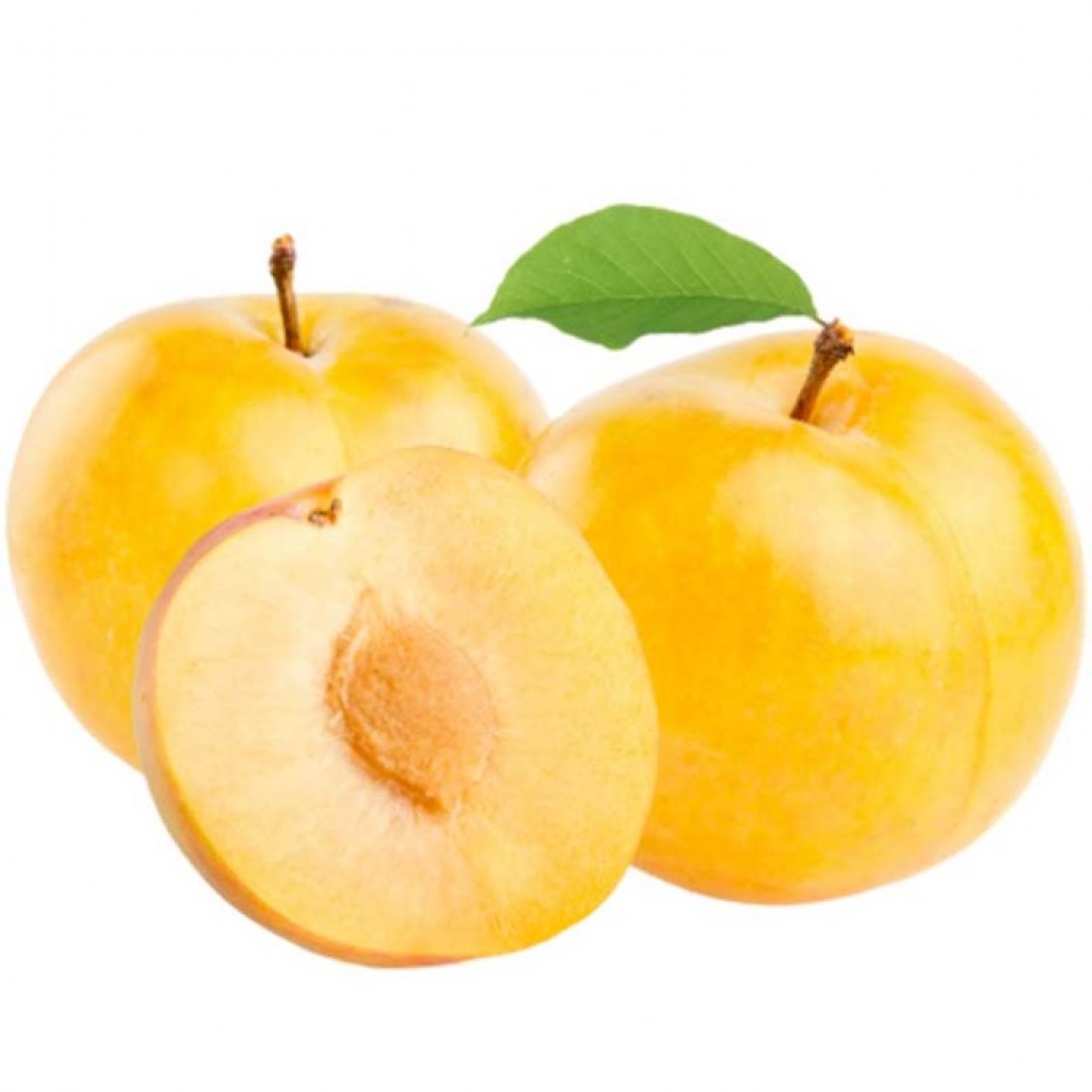 USA YELLOW PLUM