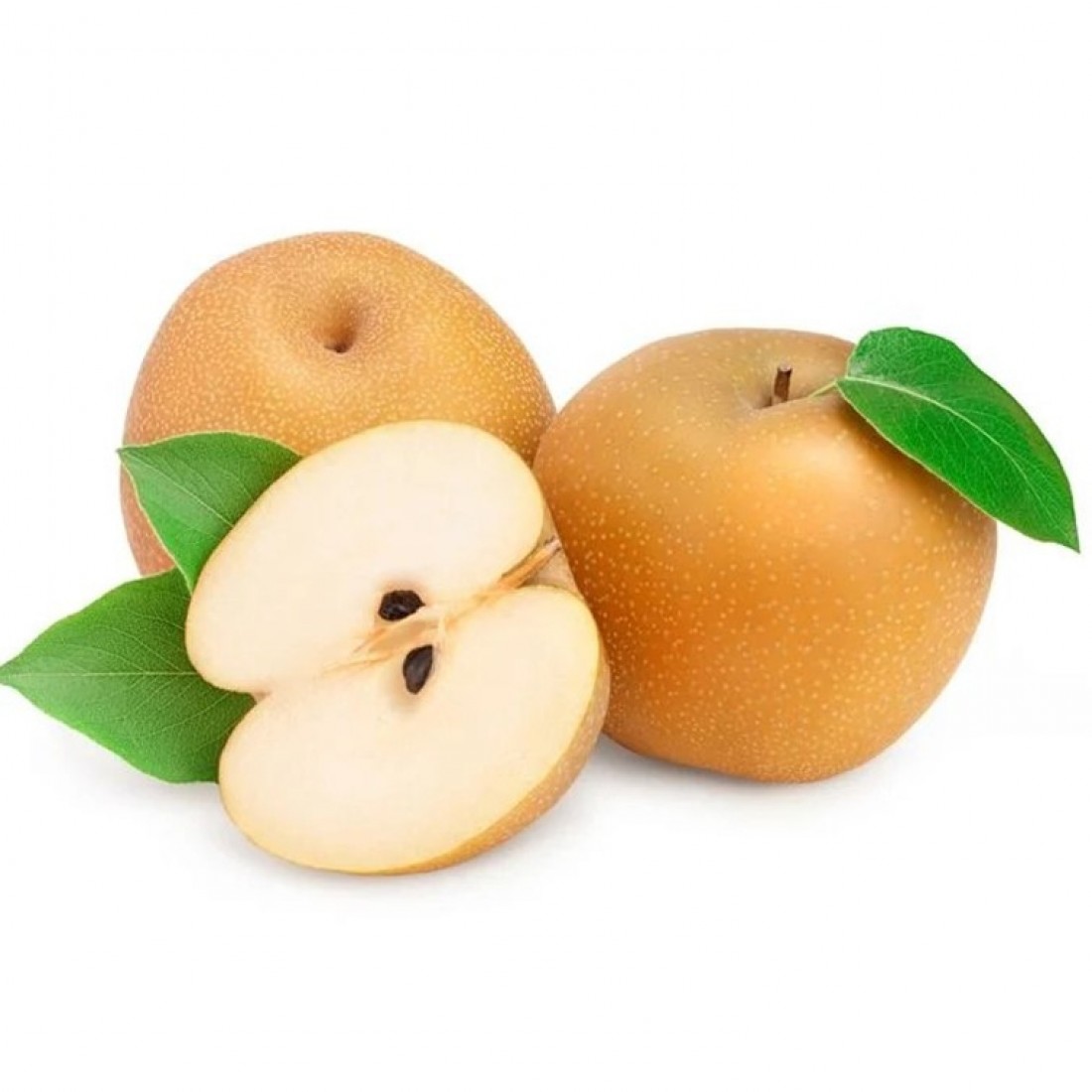 Japanese Oita Hita Pear（1 PC)