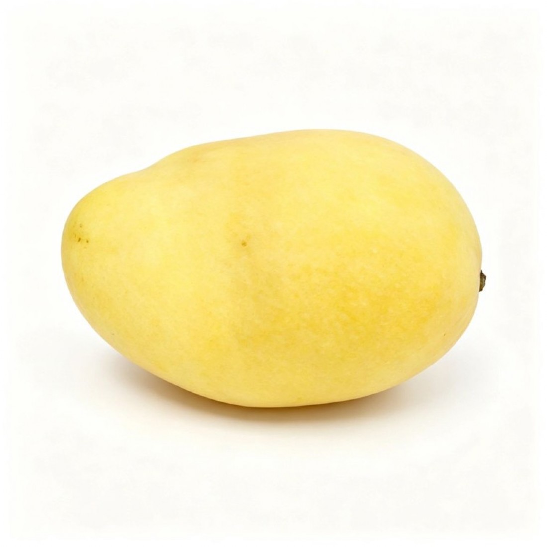 Kate Mango