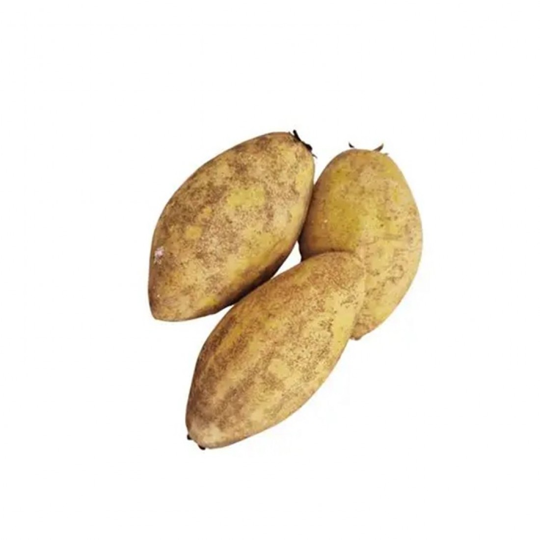 CHIKU